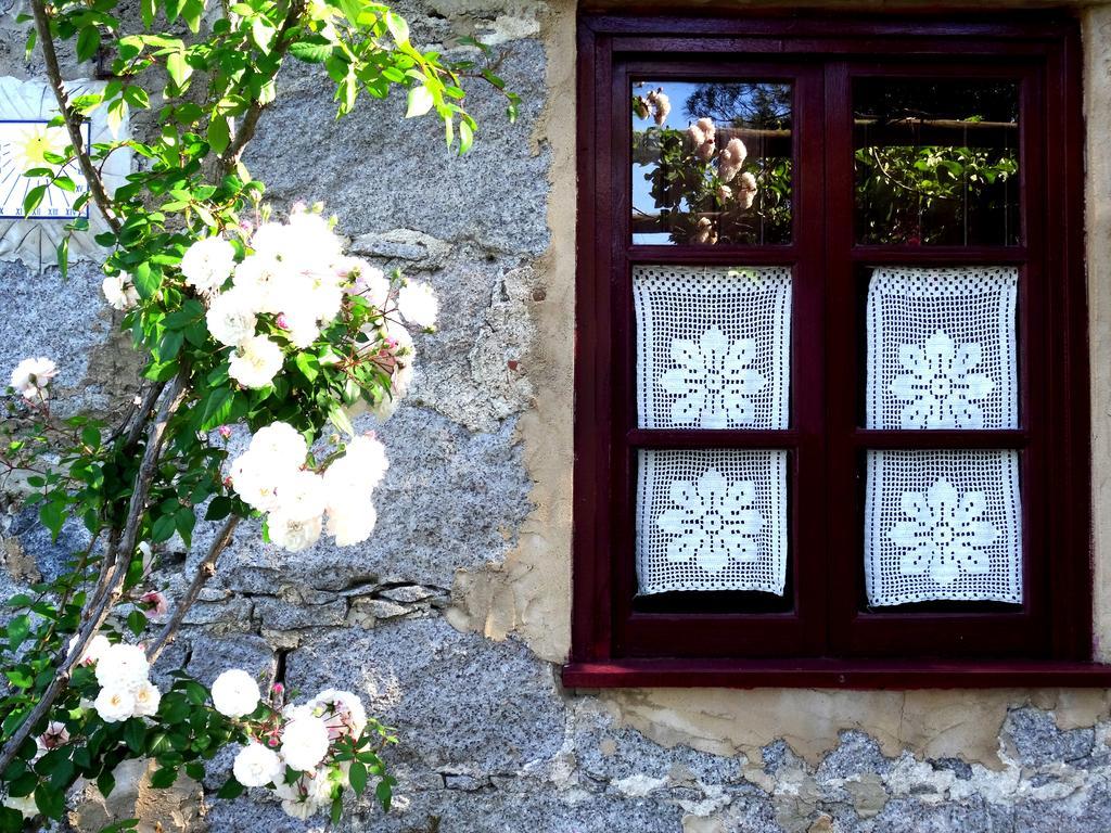 My Room - Villa Vina - Ter Monchique Exterior foto